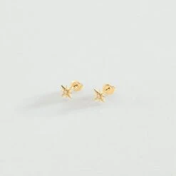 Boucles D'oreilles Puces OURSE