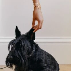 Bracelet Souple CANDY -Agatha Soldes Boutique 02480341 256 TU M2