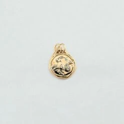 Pendentif CAPRICORNE ZODIAQUE