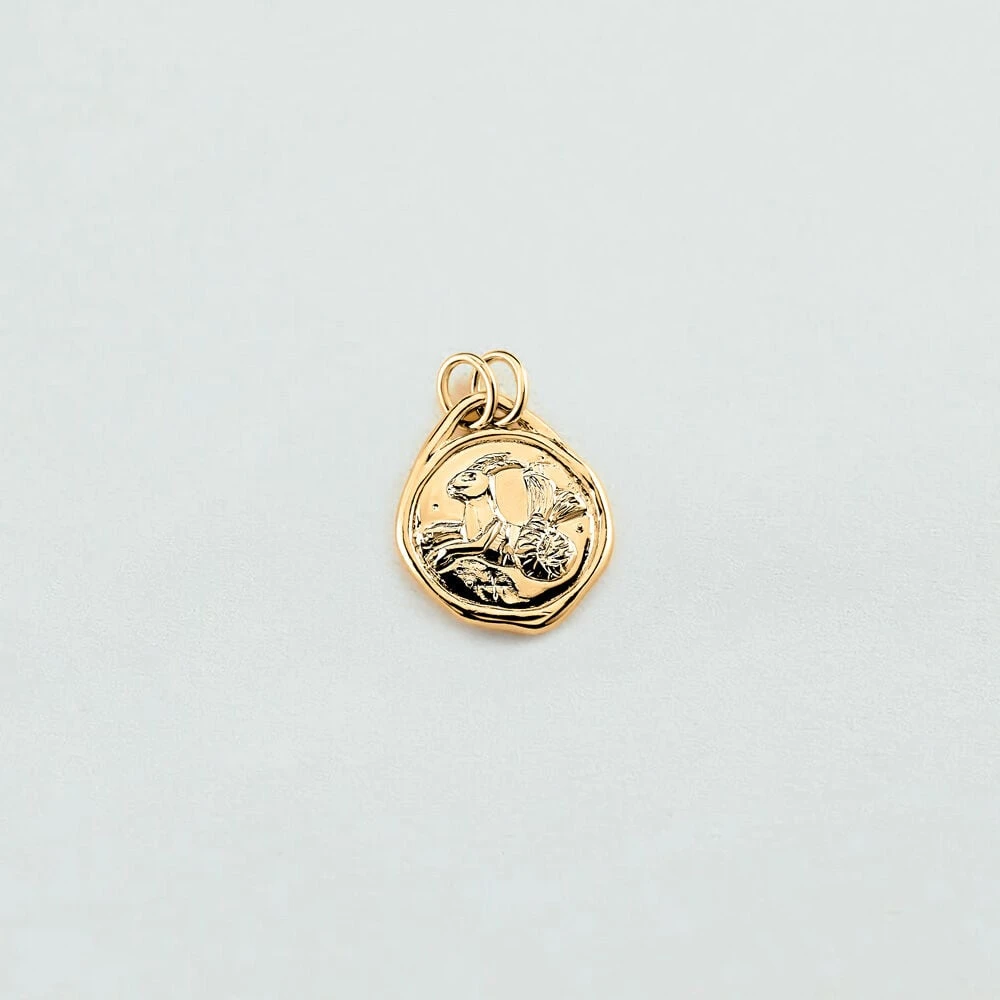 Pendentif CAPRICORNE ZODIAQUE 1 Pendentif CAPRICORNE ZODIAQUE